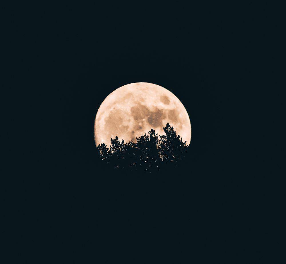 Unsplash.com/Aron Visuals