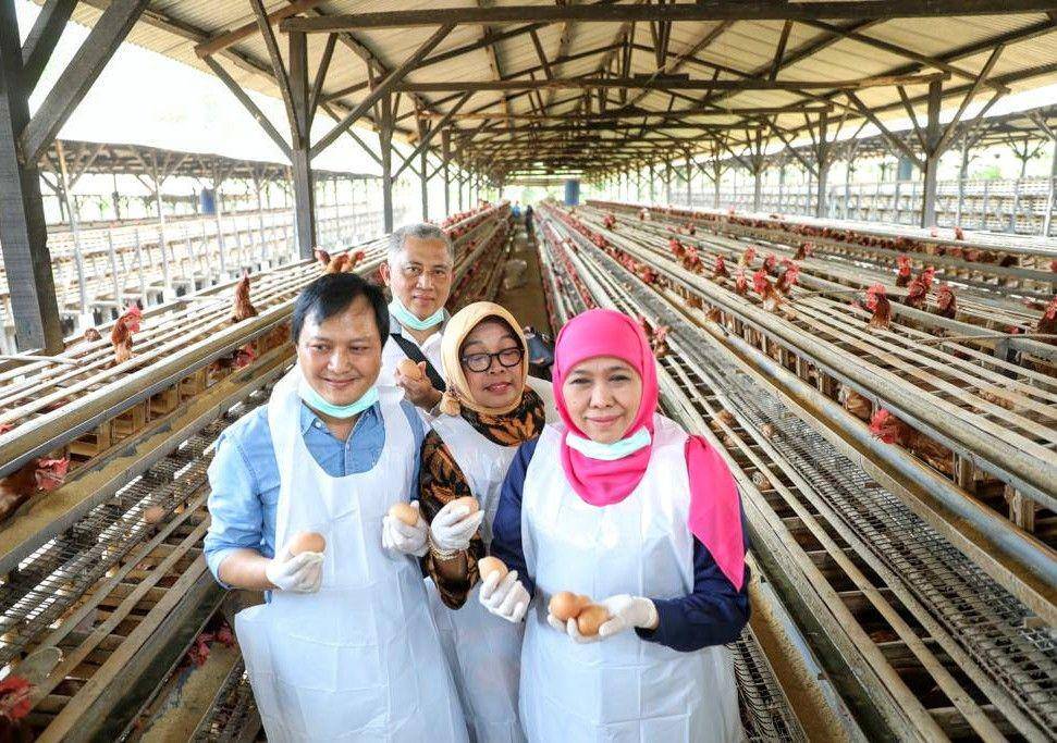 Gubernur Jatim, Khofifah Indar Parawansa menunjukkan telur hasil pola Good Farmer Practices. Dok Humas Pemprov Jatim