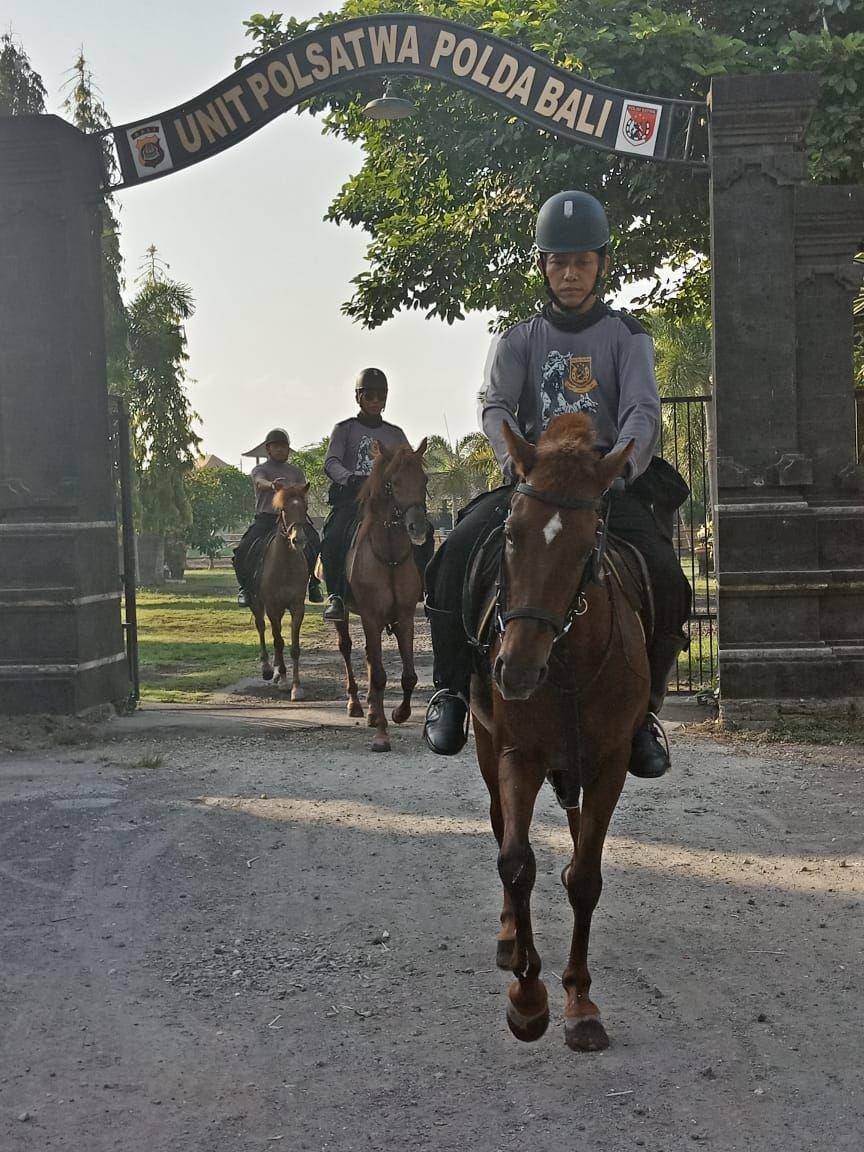 polda bali k9 kuda polda bali