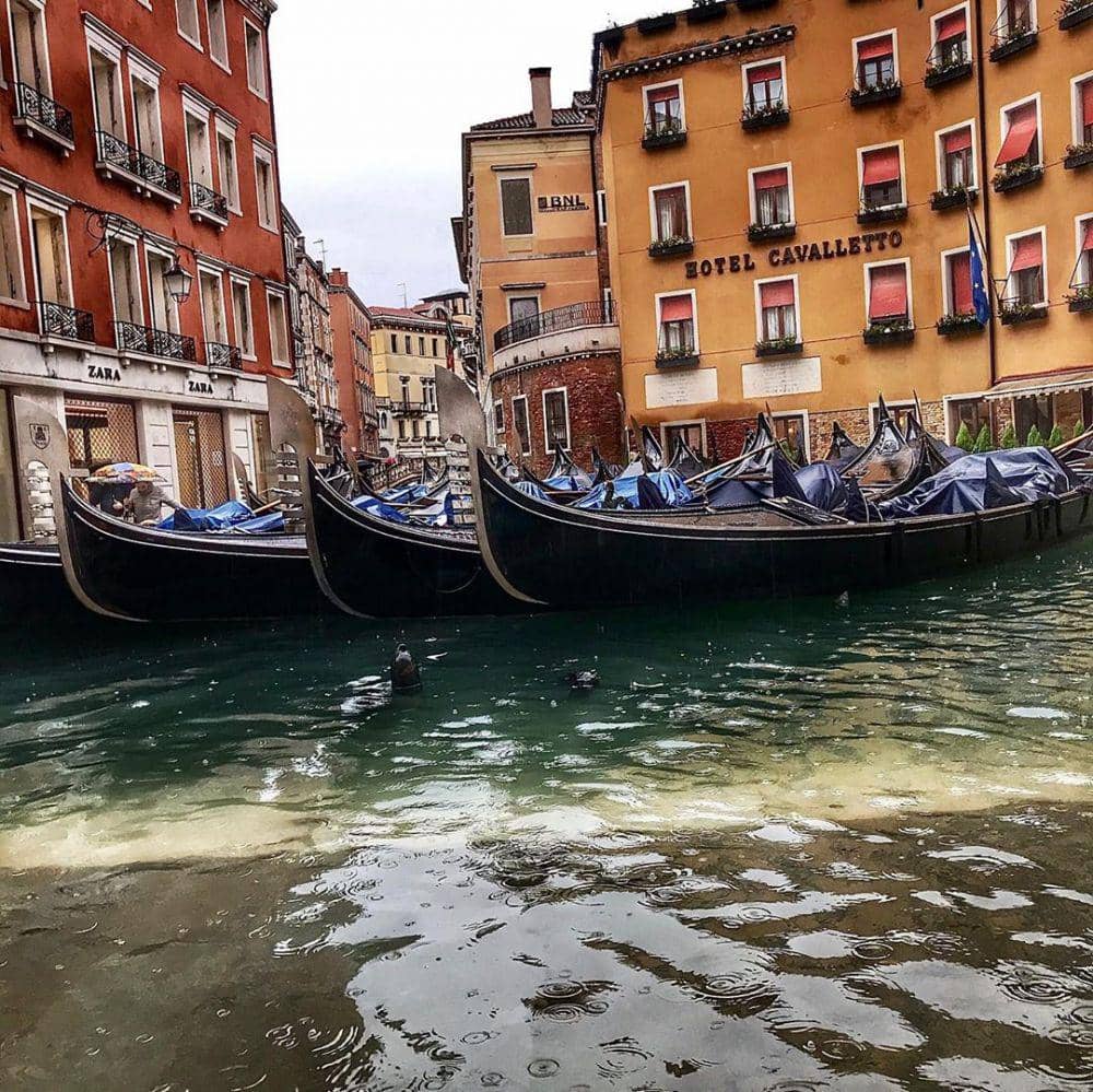 Instagram/paolodavenezia