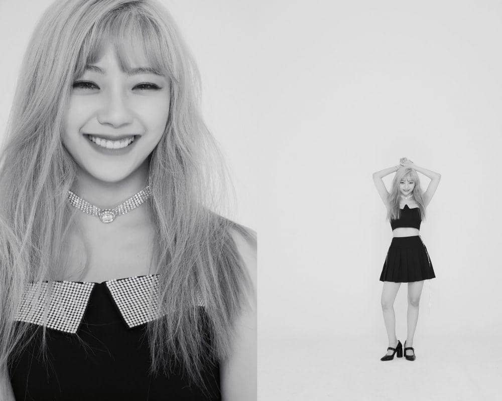 twitter.com/C9_girlz