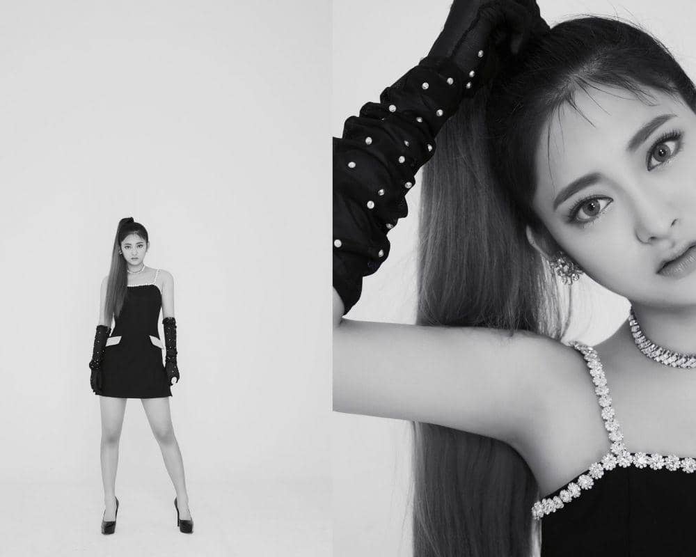 twitter.com/C9_girlz