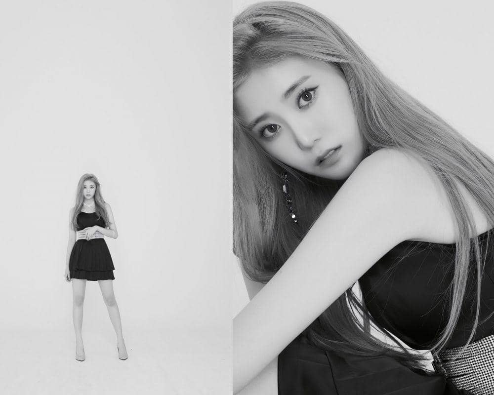 twitter.com/C9_girlz