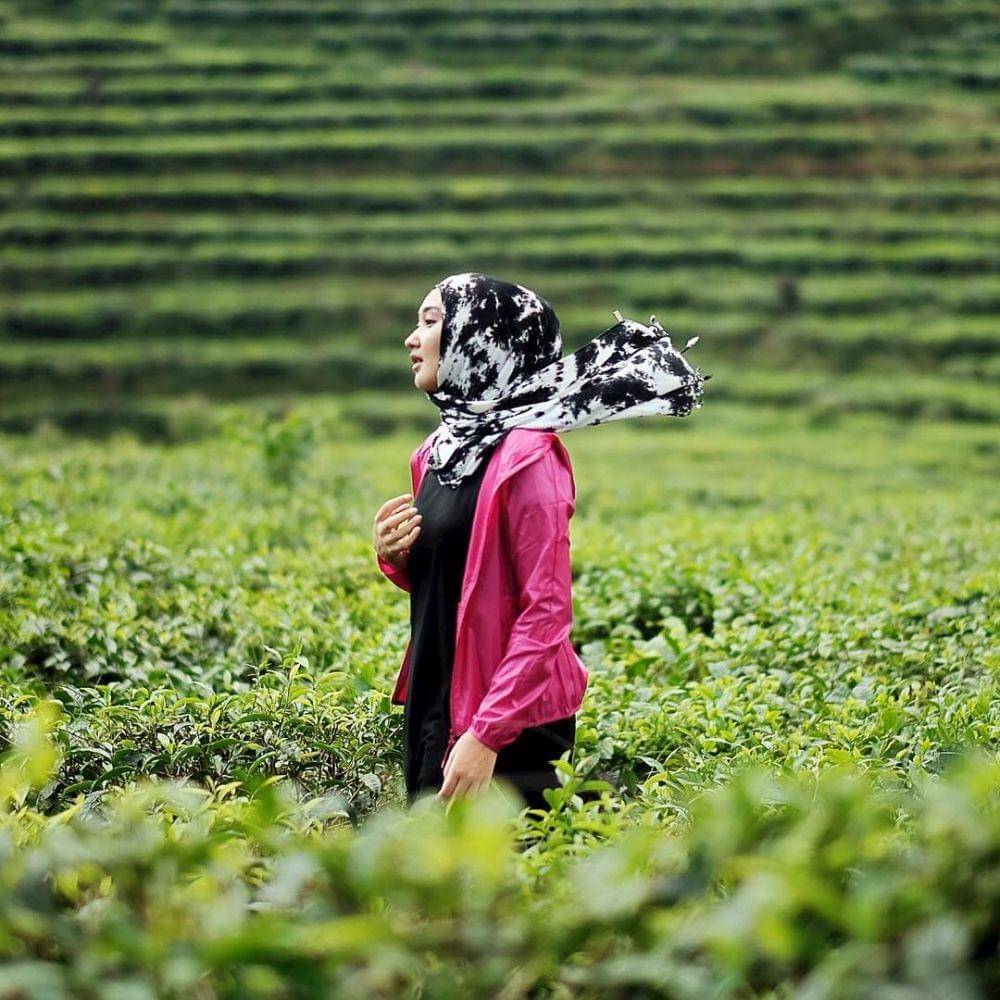 instagram.com/dianpelangi