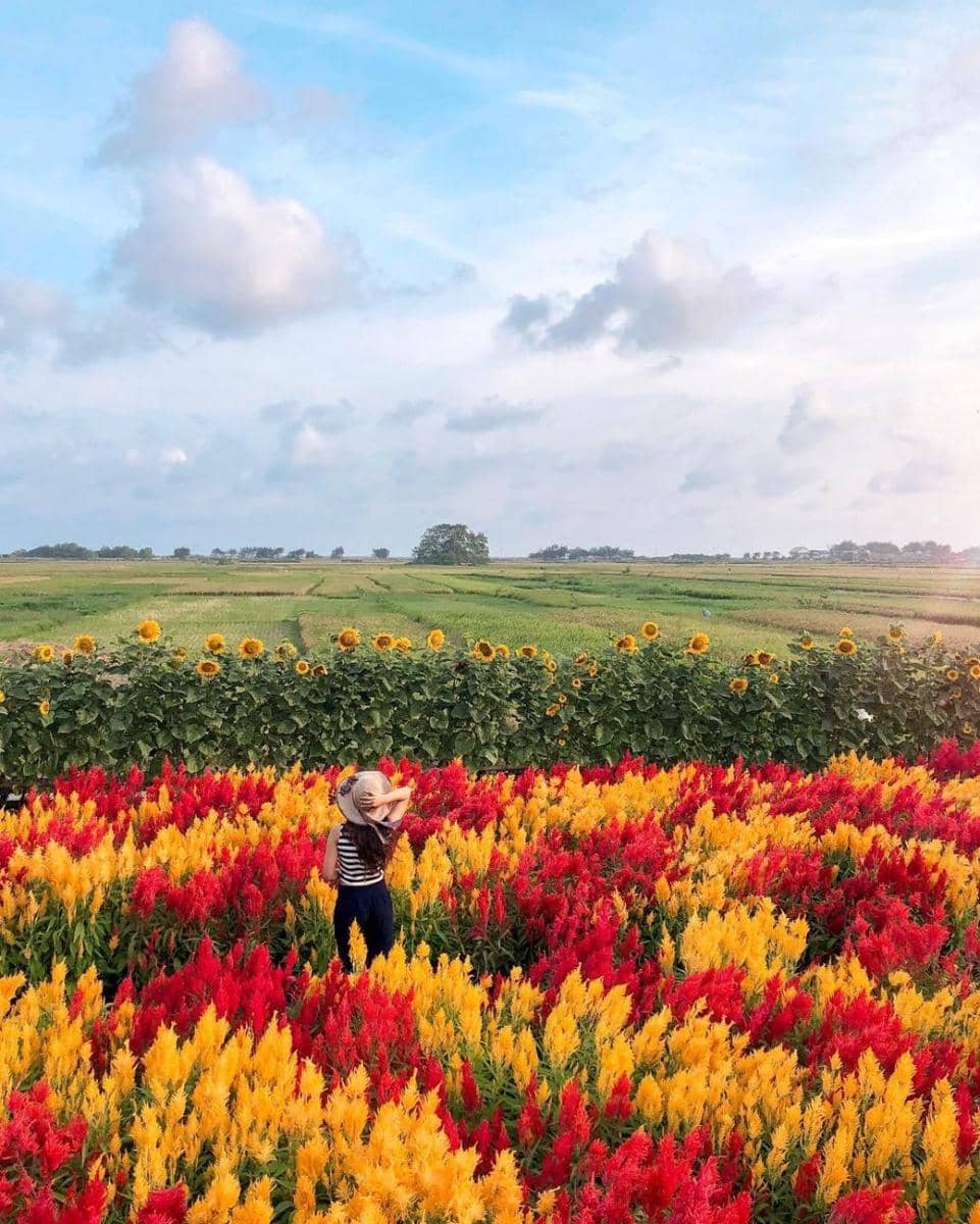 instagram.com/erlintopia