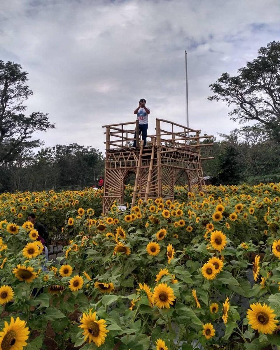 instagram.com/echideputa