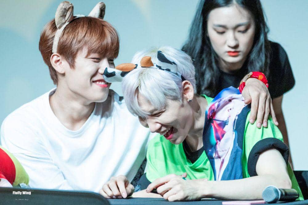 twitter.com/FluffyWing1015