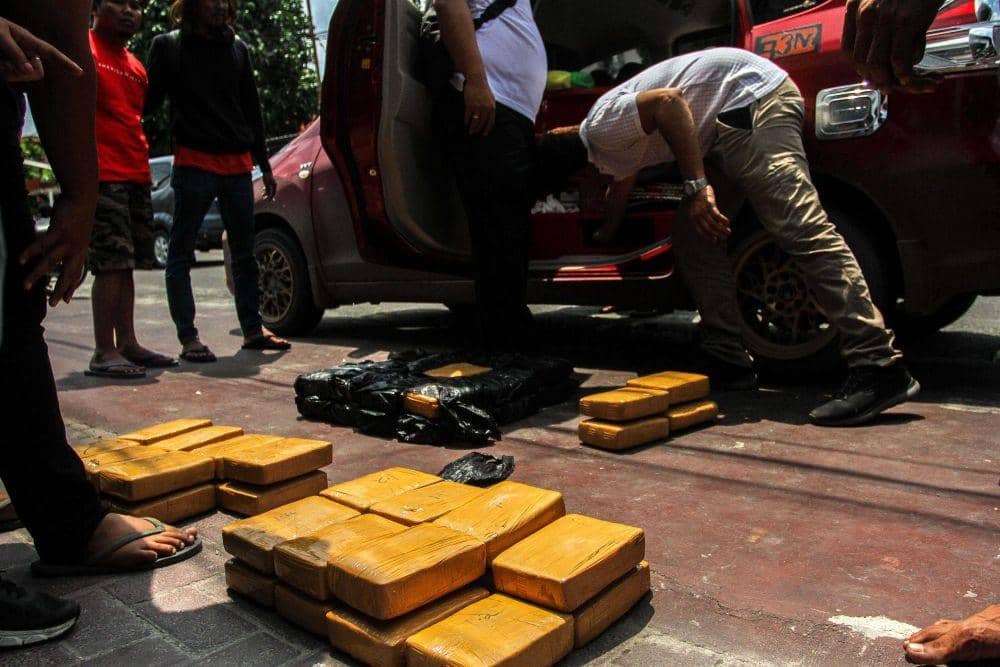 Ilustrasi ganja / ANTARA FOTO