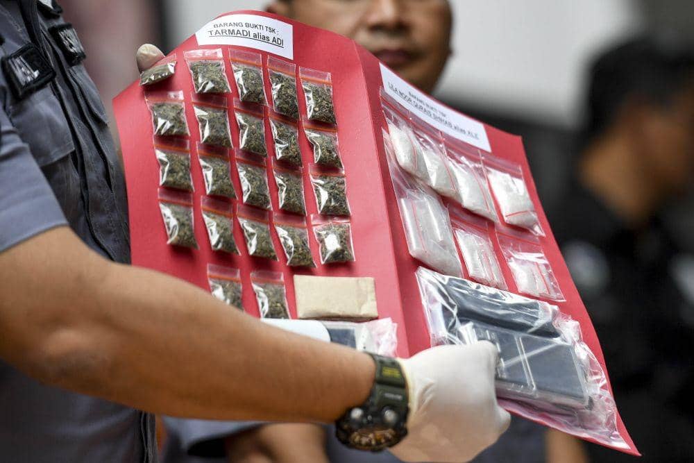 Ilustrasi ganja / ANTARA FOTO