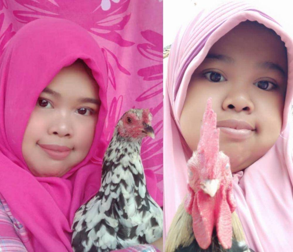 Berbagai sumber