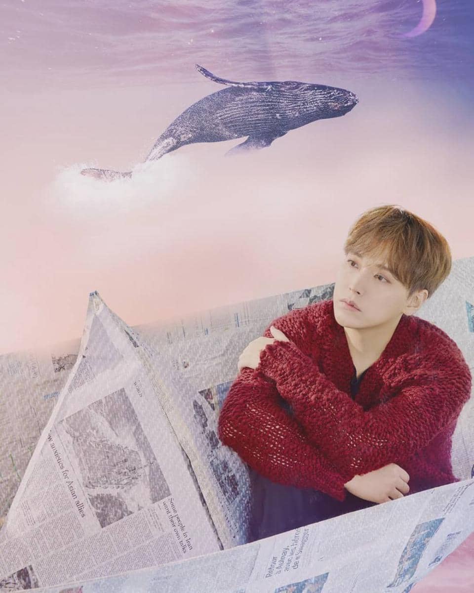 Instagram.com/_liustudio_