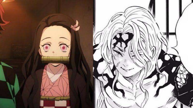 [Teori Kimetsu no Yaiba] Akankah Muzan Mulai Memburu Nezuko?