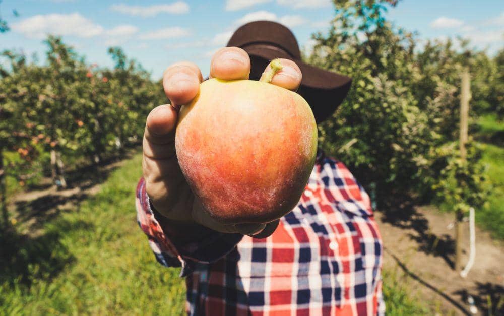 unsplash.com/Hermes Rivera