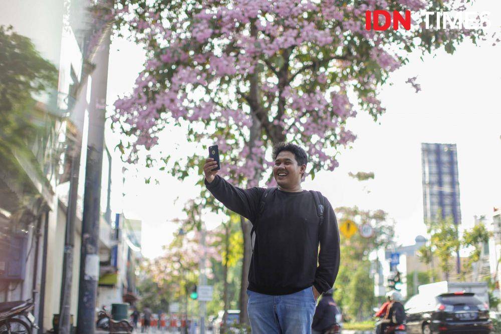 Suasana mekarnya pohon tabebuya di kawasan Mayjen Sungkono (19 November 2019). IDN Times/Reza Iqbal