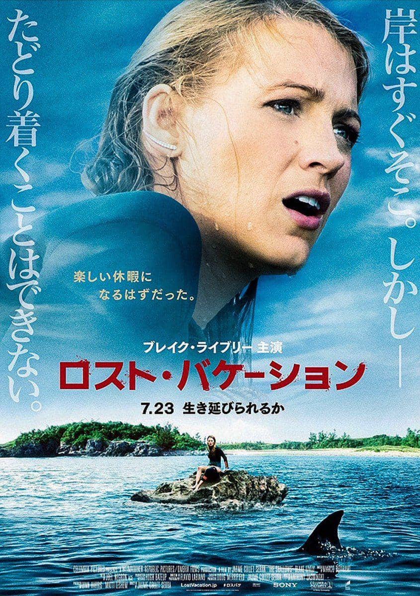the shallows