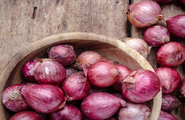 Trik Menyimpan Bawang Merah dengan Kertas Koran Agar Awet Berbulan-bul