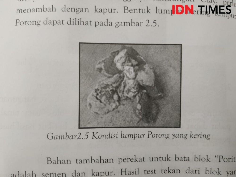 Kondisi lumpur Porong yang kering. Repro IDN Times/Fitria Madia