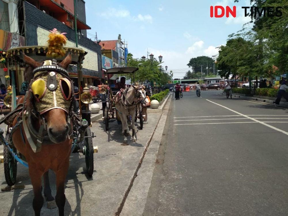Andong tetap beroperasi saat penutupan Malioboro pada Selasa Pon. IDN Times/Febriana Sinta a