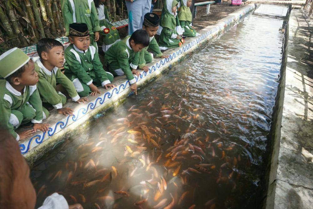 Ribuan ikan tampak di sungai Banyuwangi. IDN TImes/Istimewa