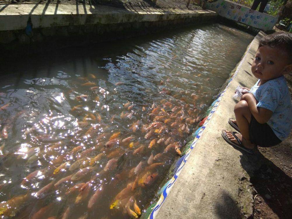 Ribuan ikan di sungai Banyuwangi. IDN TImes/Istimewa