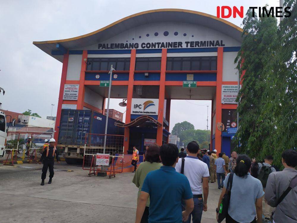 Kelapa Sumsel Ditolak Thailand, Eksportir Telan Kerugian Hingga Rp3 Miliar (IDN Times/Feny Maulia Agustin)