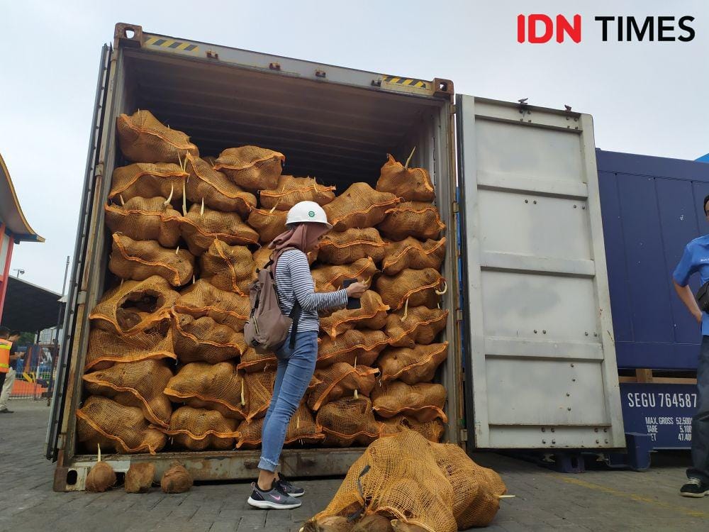 Ilustrasi komoditas kelapa Sumsel yang diekspor ke negara Asia (IDN Times/Feny Maulia Agustin)