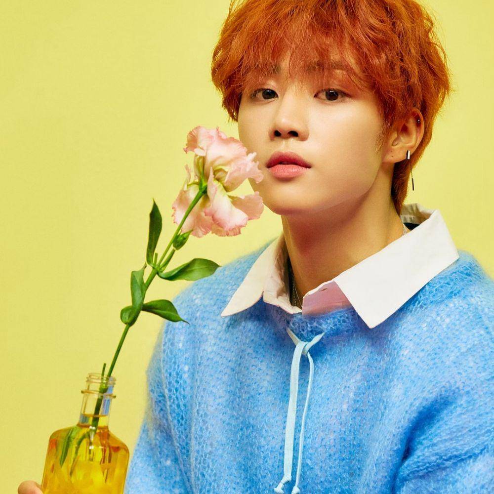 instagram.com/official_theboyz