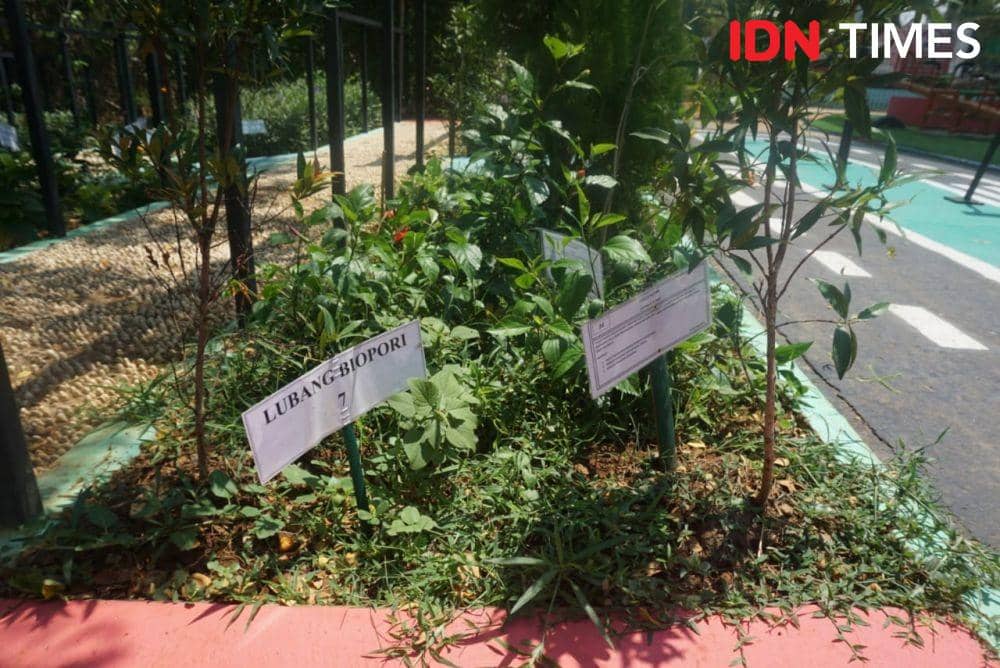 Suasana Taman Kalijodo di siang hari, Jalan Bidara Raya, Pejagalan, Penjaringan, Angke, Tambora, Jakarta Utara (IDN Times/Lia Hutasoit)