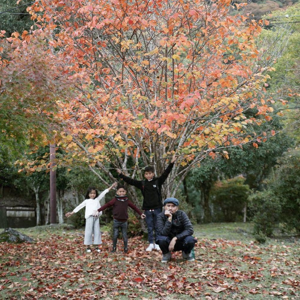 instagram.com/tikasapi