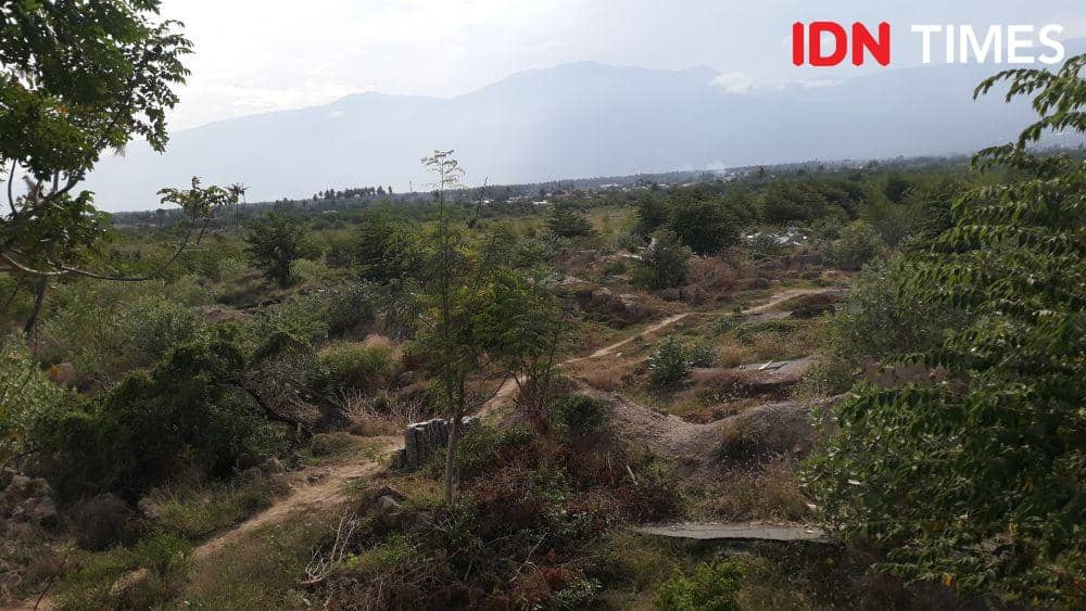 (Kelurahan Petobo, Palu, Sulawesi Tengah terdampak likuefaksi kini ditumbuhi semak belukar bak kota mati) IDN Times/Margith Juita Damanik