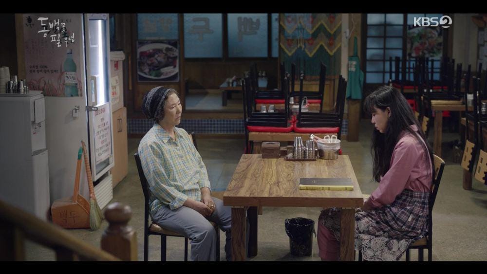 when-the-camellia-blooms