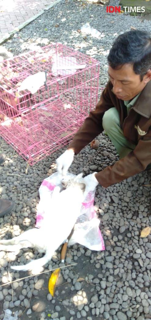 IDN Times/Wayan Antara