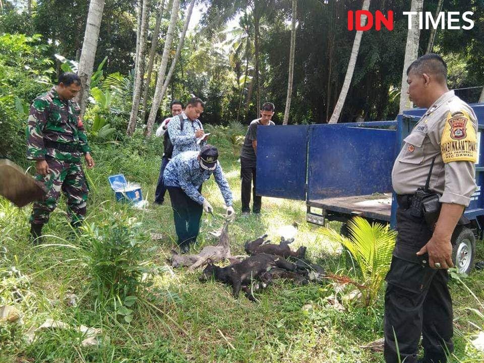 IDN Times/Wayan Antara