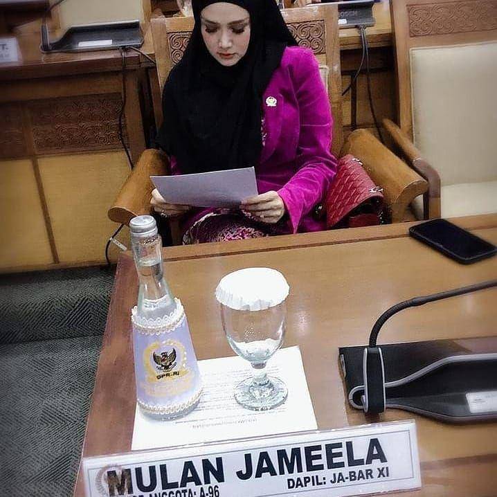 instagram.com/mulanjameelacenter
