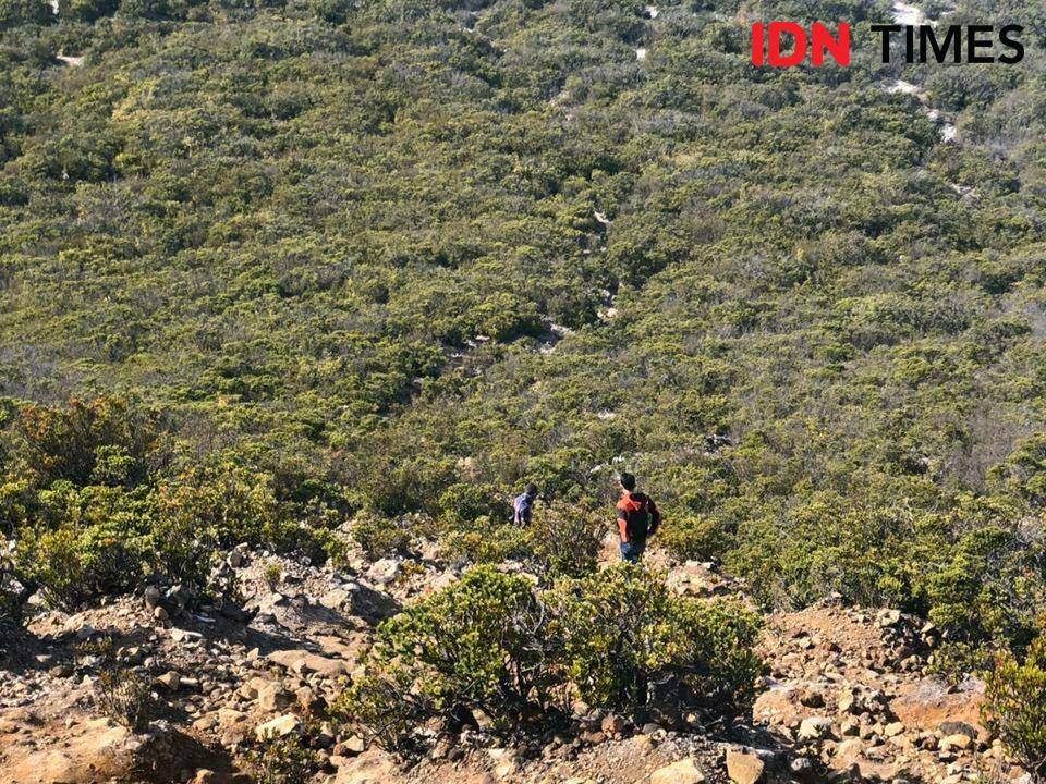 Kawasan taman wisata Gunung Dempo Pagaralam, Sumsel (IDN Times/Rangga Erfizal)