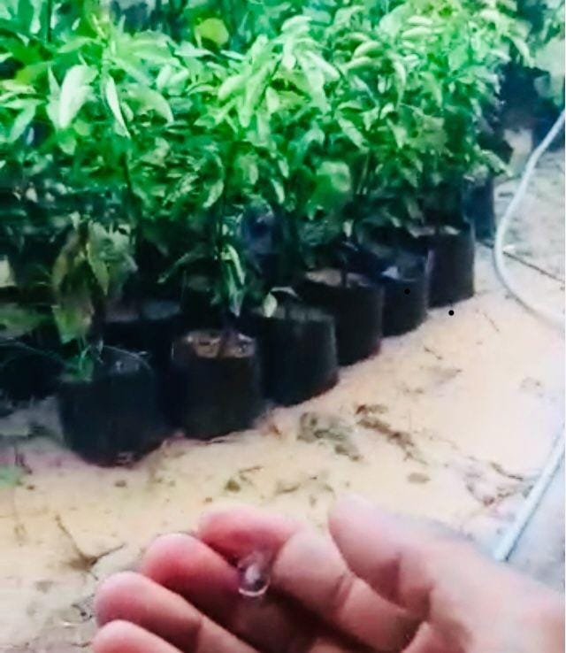 Ilustrasi hujan (Dok.IDN Times/Istimewa)