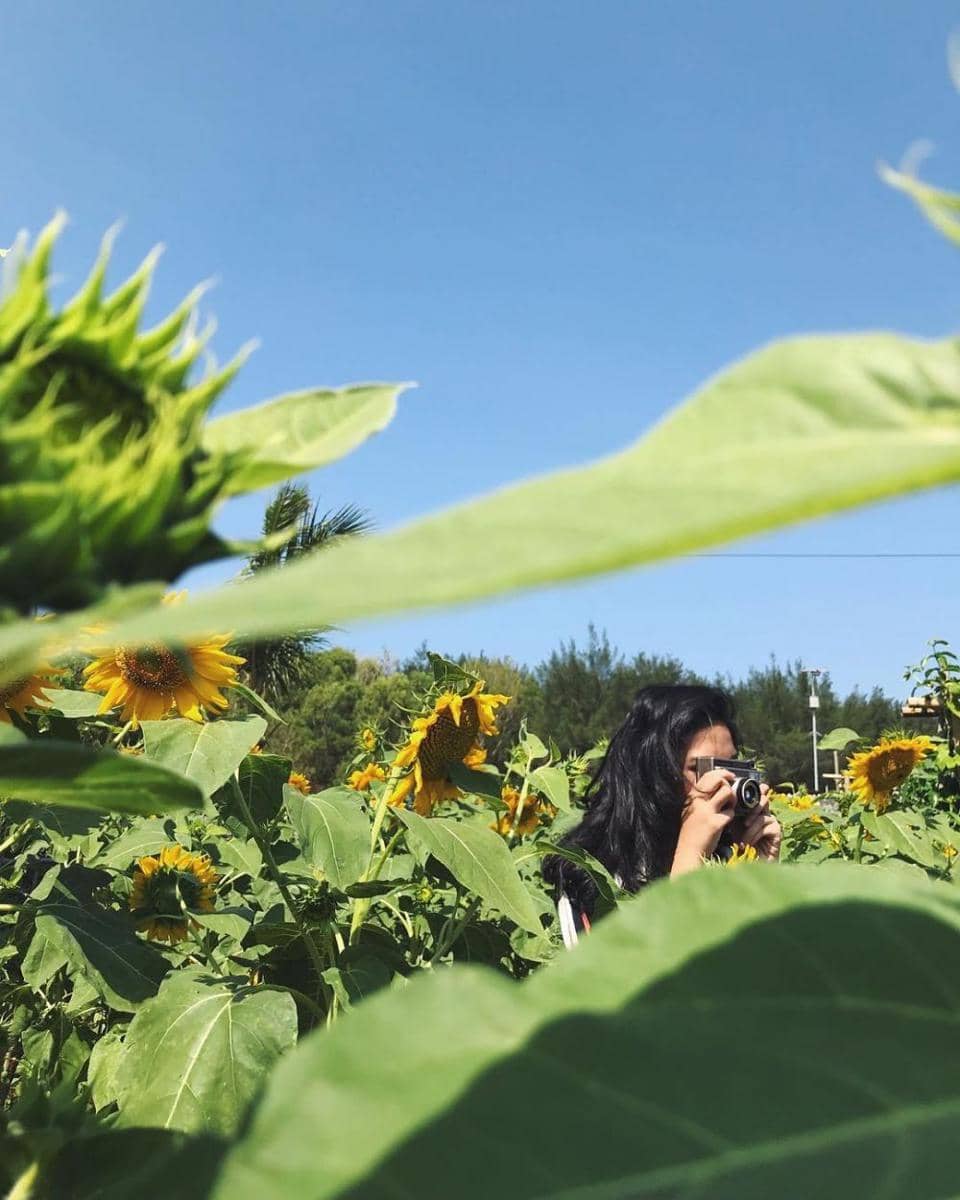 instagram.com/putri_tanjung