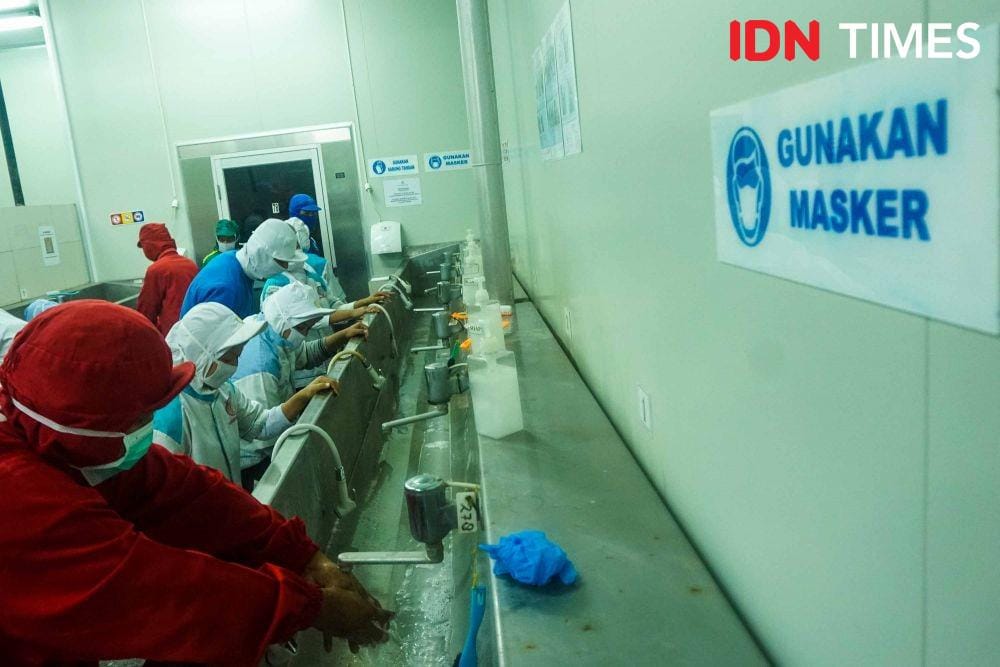 Pabrik Ikan Tilapia di Semarang, Jawa Tengah (IDN Times/Dhana Kencana)