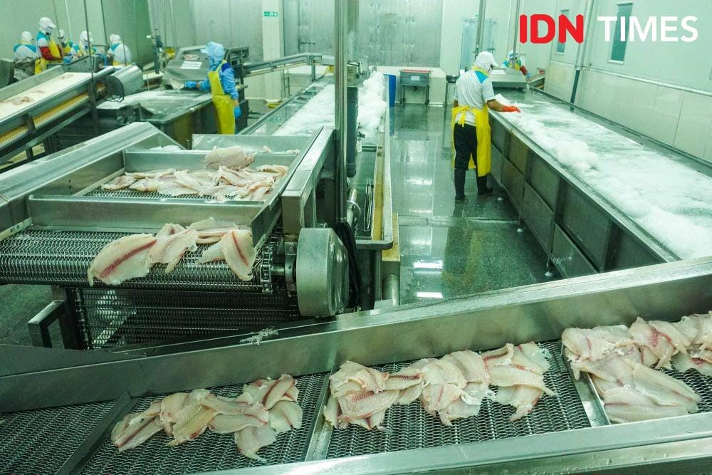 Pabrik Ikan Tilapia di Semarang, Jawa Tengah (IDN Times/Dhana Kencana)