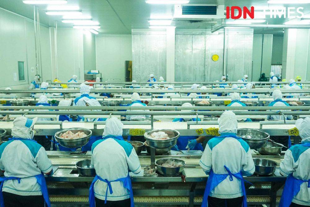 Pabrik Ikan Tilapia di Semarang, Jawa Tengah (IDN Times/Dhana Kencana)