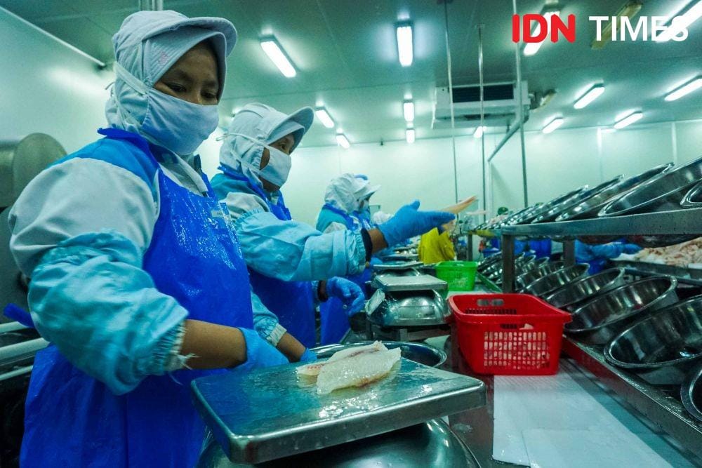 Pabrik Ikan Tilapia di Semarang, Jawa Tengah (IDN Times/Dhana Kencana)