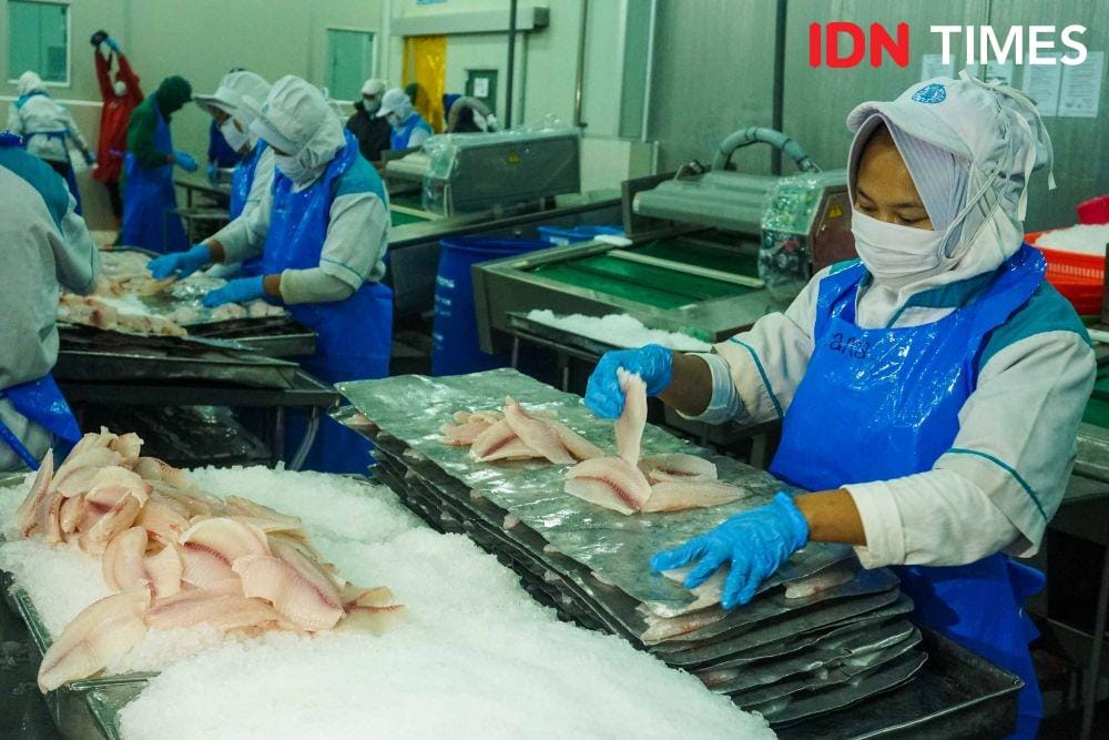 Pabrik Ikan Tilapia di Semarang, Jawa Tengah (IDN Times/Dhana Kencana)