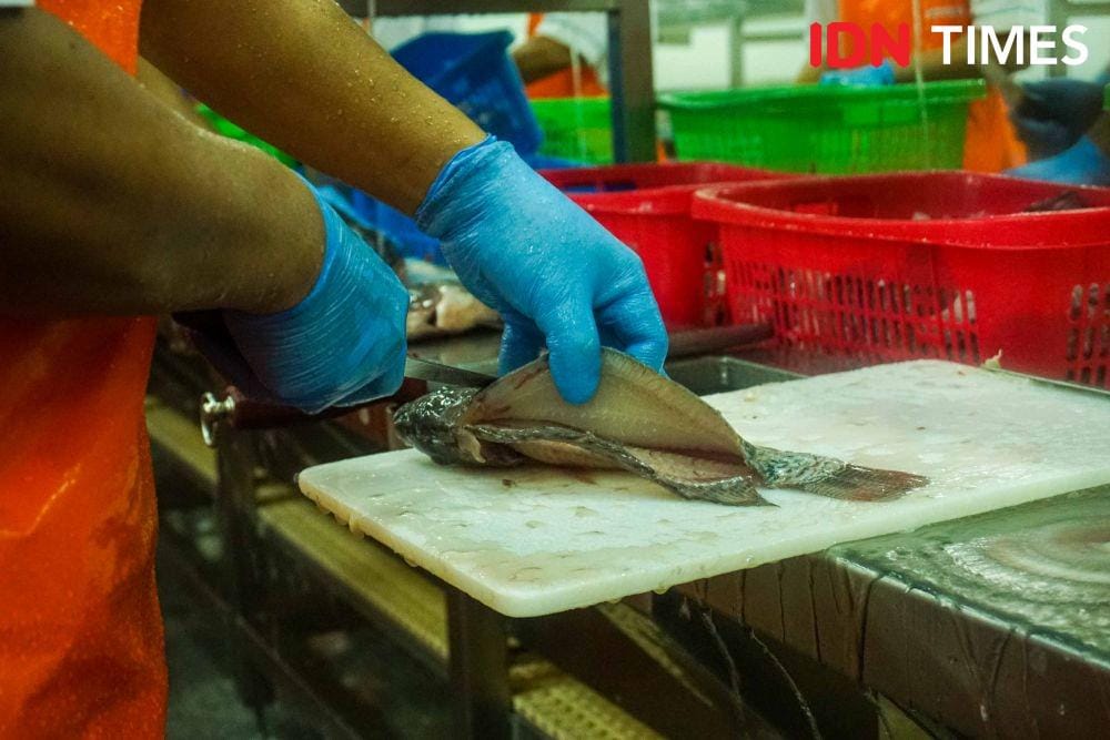 Pabrik Ikan Tilapia di Semarang, Jawa Tengah (IDN Times/Dhana Kencana)