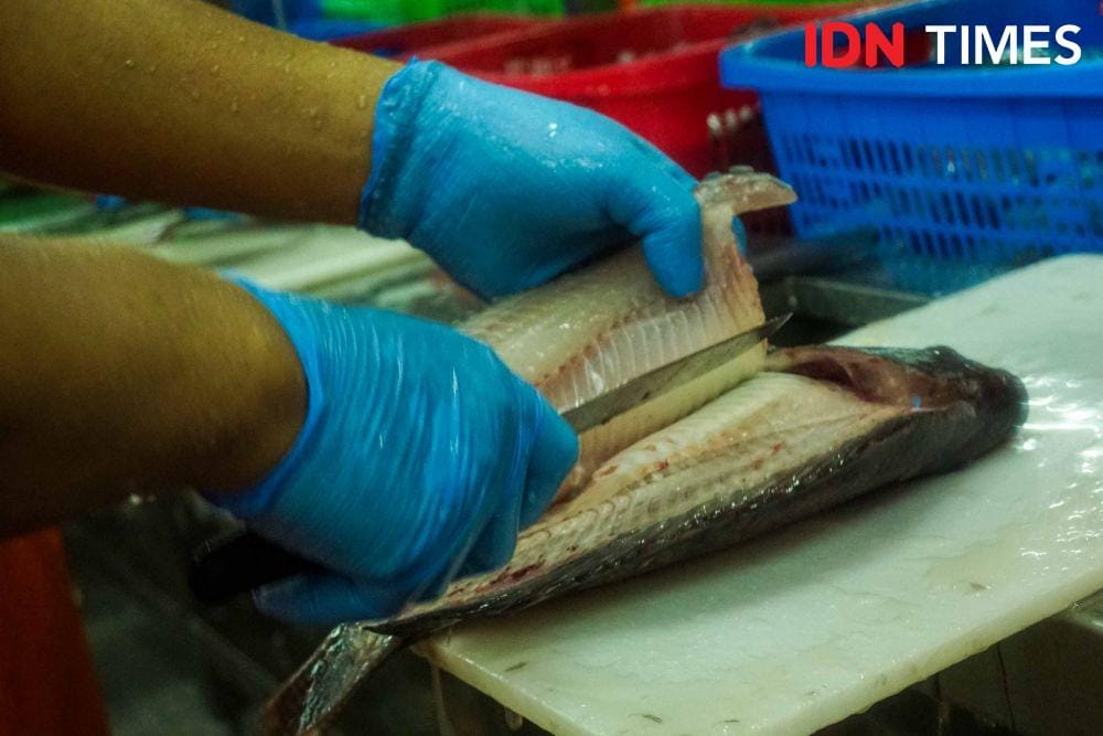 IDN Times/Dhana Kencana