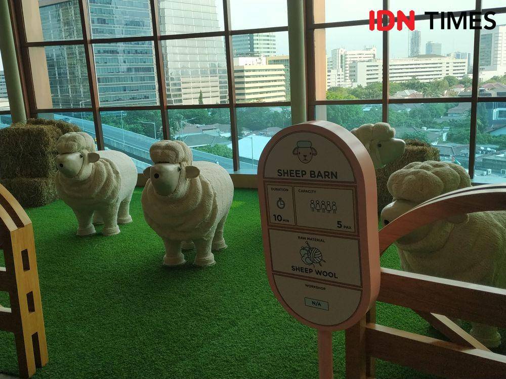 Youreka Kids Farm di Kuningan City Mall. 21 November 2019. IDN Times/Klara Livia
