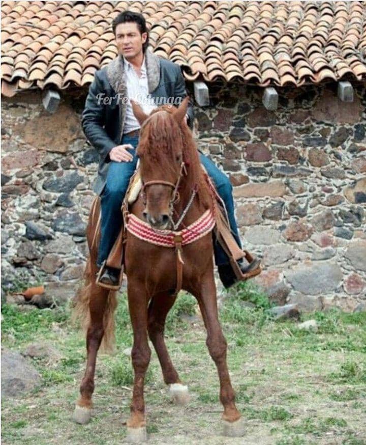 instagram.com/ferfercolunga