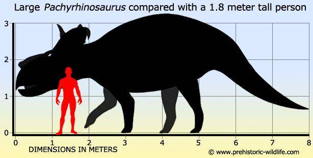 prehistoric-wildlife.com