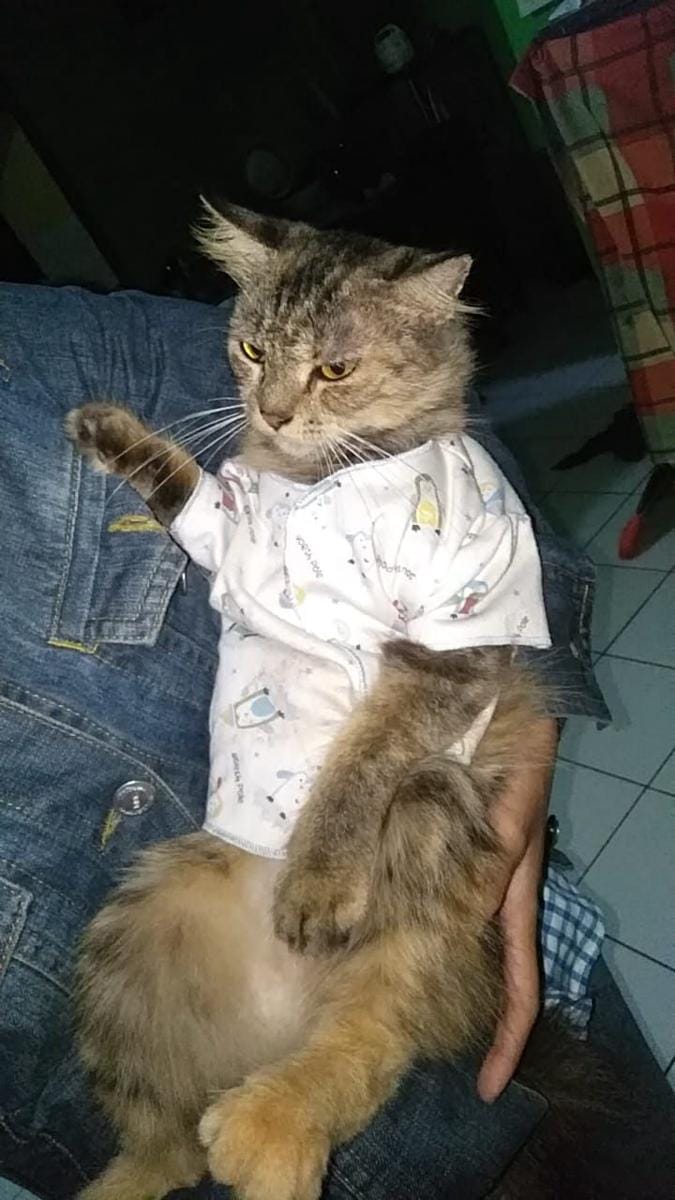 Twitter.com/dinda_nfwj