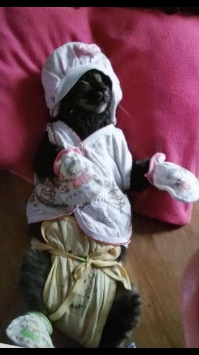 Twitter.com/tiarateofani