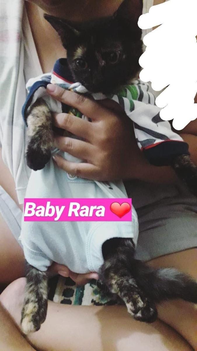 Twitter.com/pogoshipo1916